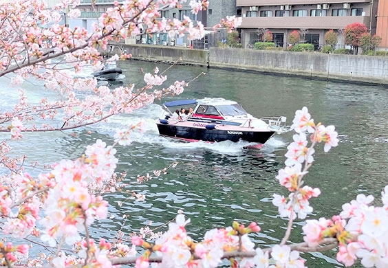 写真：Anniversary Cruise