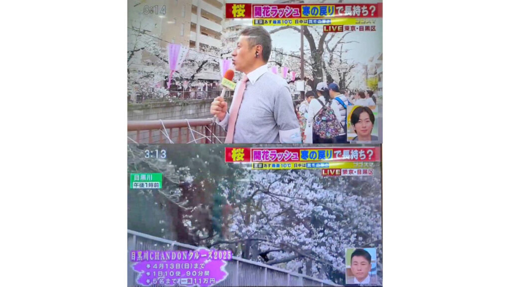 ゴゴスマ